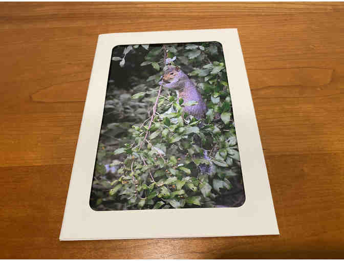 10 Photocards of Flowers, Animals, and Birds (#2)
