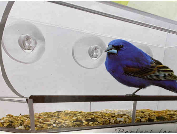 Window Bird Feeder