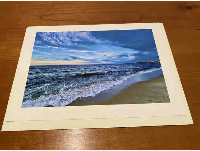 8 Photocards of 'Birds, Blooms, Butterflies, and Beaches'