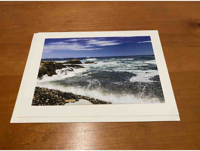 8 Photocards of 'Birds, Blooms, Butterflies, and Beaches'