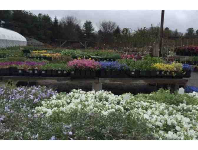 Gift Certificate for Cataldo's Gift and Garden Center