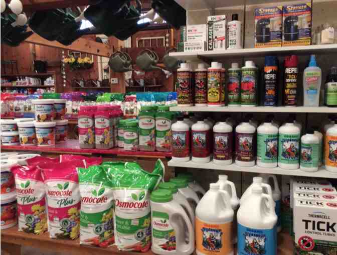 Gift Certificate for Cataldo's Gift and Garden Center