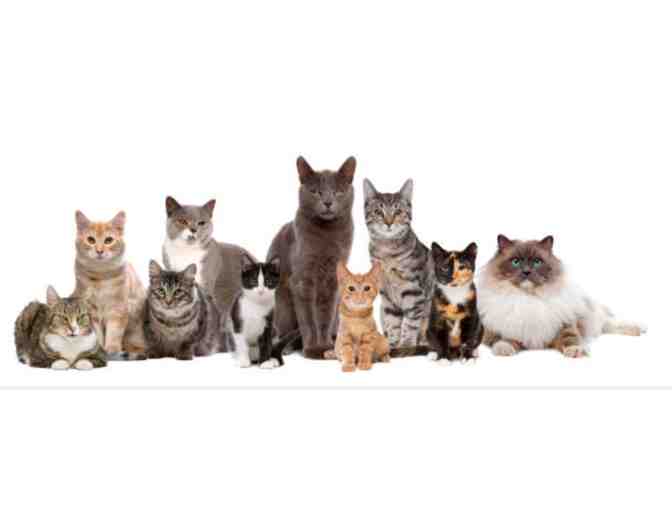 Family Friends Veterinary Hospital and Kennel Gift Certificate