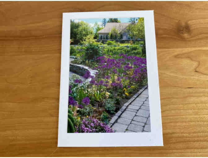 Photocards (10) of Flowers, Animals, and Birds (#2)