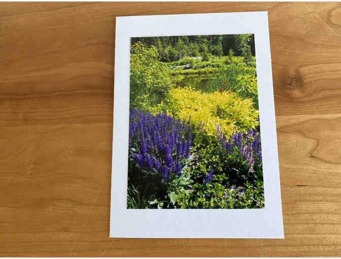 Photocards (10) of Flowers, Animals, and Birds (#2)