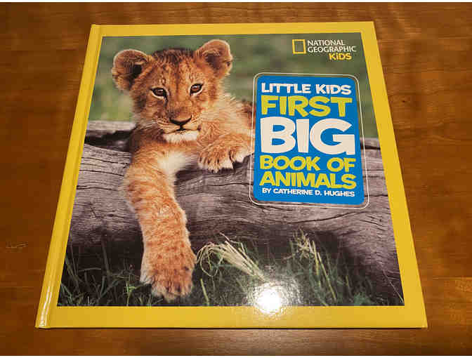 Animal Quilt, Book about Animals, and Elephant