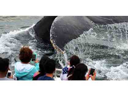 New England Aquarium Whale Watch Adventure for 2 People