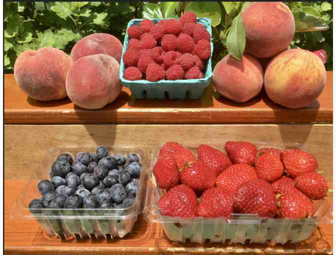 Fruit Share in 2024 from Westward Orchards CSA Program