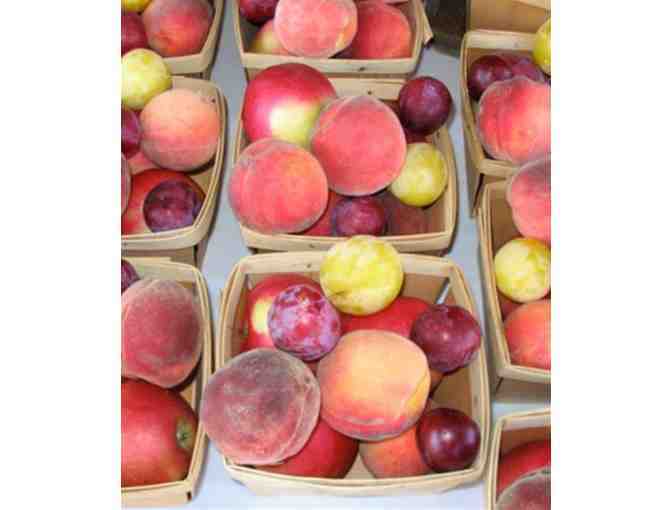 Fruit Share in 2024 from Westward Orchards CSA Program