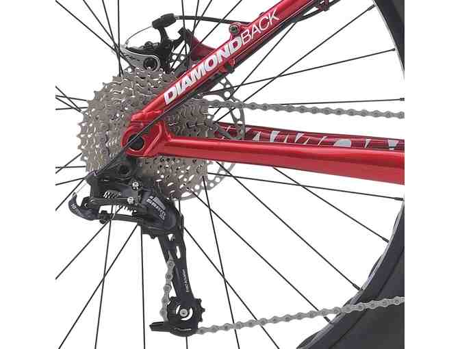 Diamondback Adult - El Oso Grande Bike - Size M