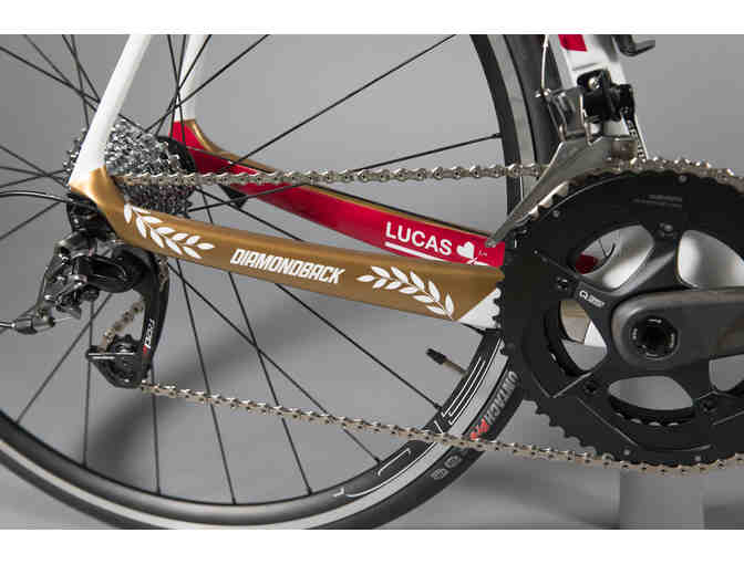 One-of-a-Kind, Hand Painted sz 58cm - Gladiator Themed - Diamondback Podium Race Bike