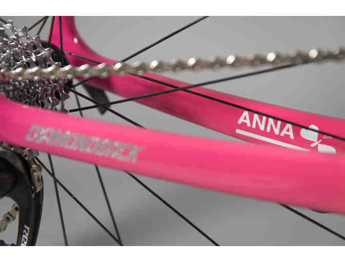 One-of-a-Kind, Hand Painted sz 52cm -Classic Cruiser Themed - Diamondback Podium Race Bike