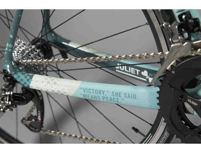 One-of-a-Kind, Hand Painted sz 56cm - WW2 Themed - Diamondback Podium Race Bike