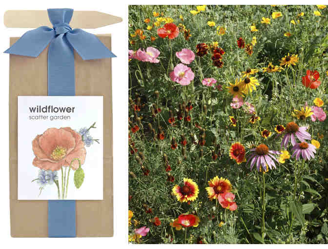 Wildflower Scatter Garden AND Songbird Scatter Garden