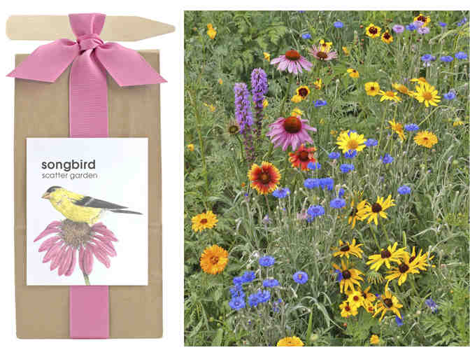 Wildflower Scatter Garden AND Songbird Scatter Garden