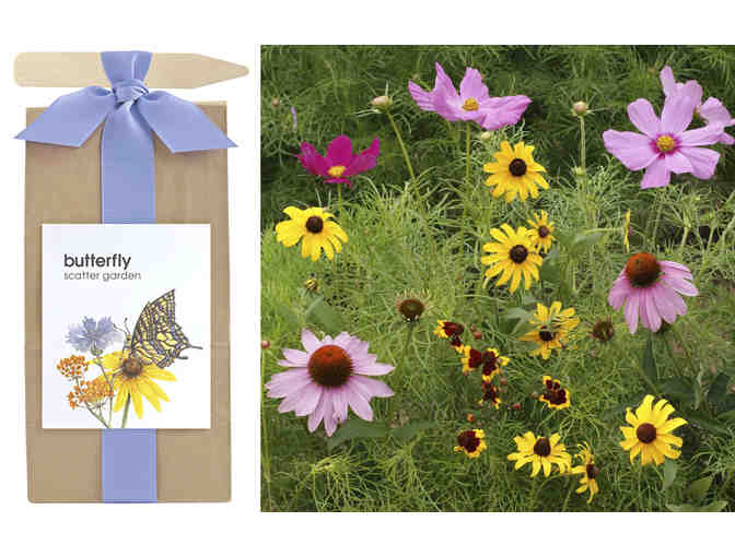 Butterfly Scatter Garden AND Wildflower Scatter Garden