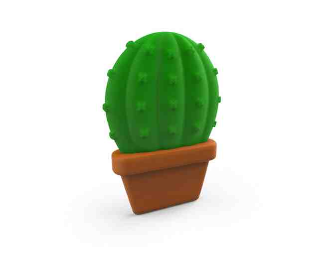 Set of 3 Fred Baby (Mustache Pacifier, Twisted Teether, and Suckulent Teether)