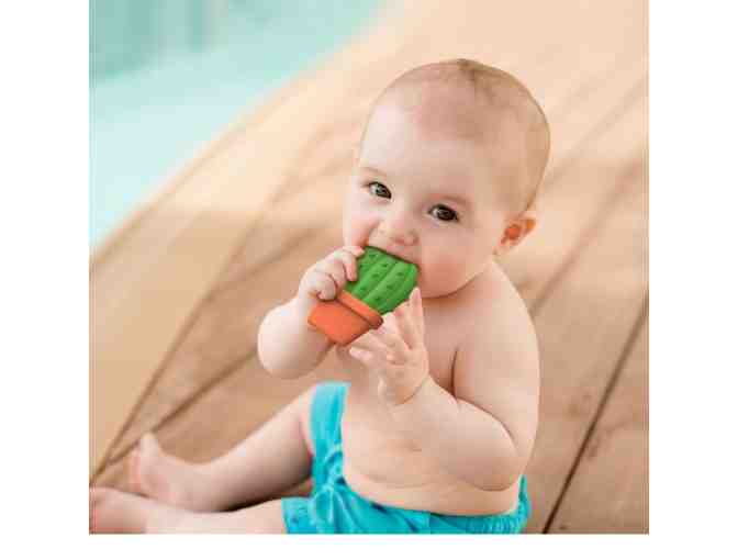 Set of 2 Fred Baby (Twisted Teether and Suckulent Teether)