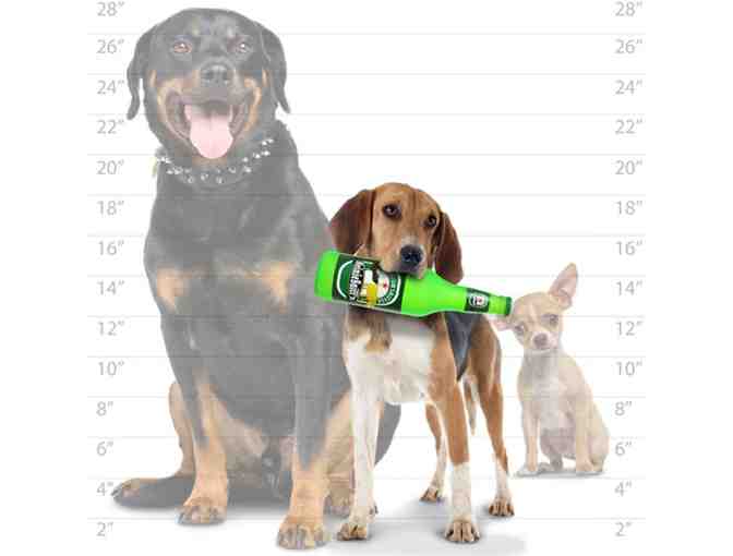 Silly Squeakers- Beer Bottle Heinie Sniffer and Blue Cat Trippin w/ Beer Can Smella Arpaw