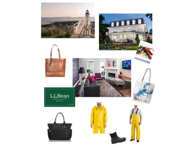 Maine Oliver Bear - The Way Life Should Be