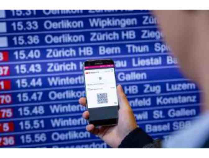 2 Swiss Travel Passes