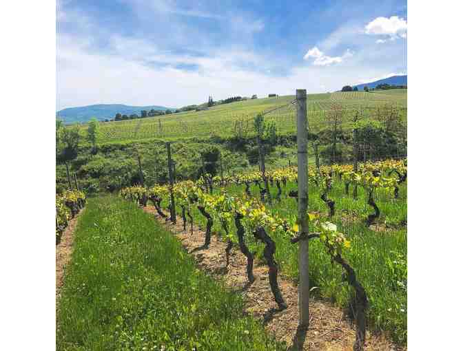 Swiss Wine Box - Rare Alpine Treasures in Three (3) Bottle Handcrafted Box