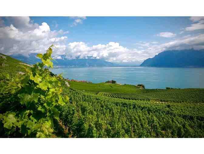 Swiss Wine Box - Rare Alpine Treasures in Three (3) Bottle Handcrafted Box