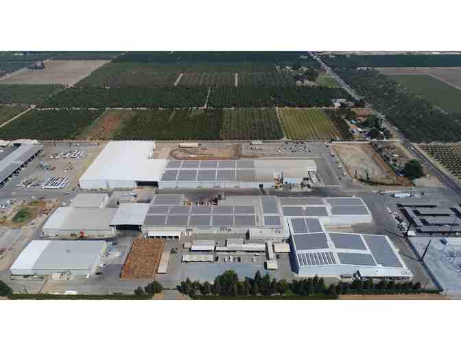 Tour for Four (4) at Grower Direct Nuts Walnut Processing Plant and Lunch - Photo 5