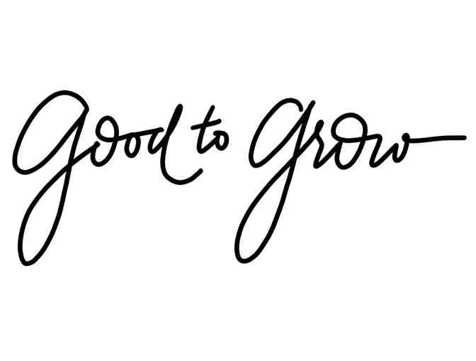 Sadhana Yoga Studio Class Pass