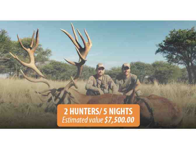 Red Stag Hunt for 2 Hunters, 5 Nights
