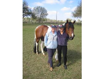 Five (5) Horseback Riding Lessons with Michele Ulrech Training at Reinstein Ranch