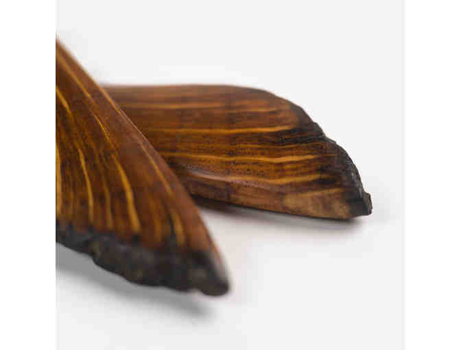 Aged Oak Root Earrings by Jon Rotto