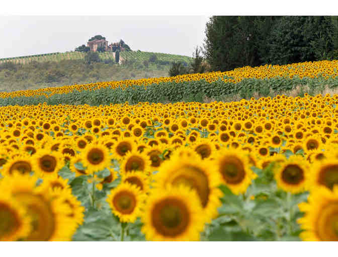 Under the Tuscan Sun: Wine Tasting, Dinner, 3 or 4-Night Stay in Cortona for 4