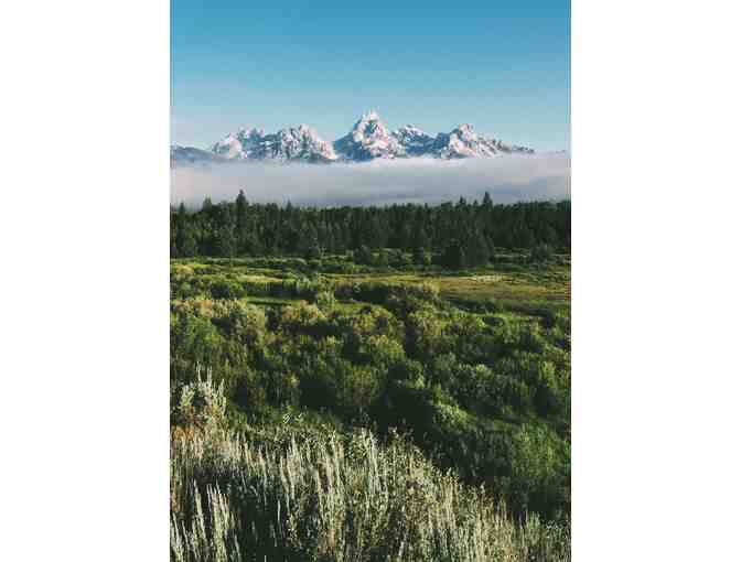 Wild Wyoming: Yellowstone National Park with 3-Night Stay for 2