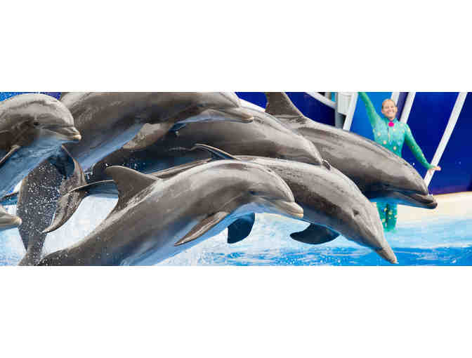 Four (4) tickets to Sea World San Diego
