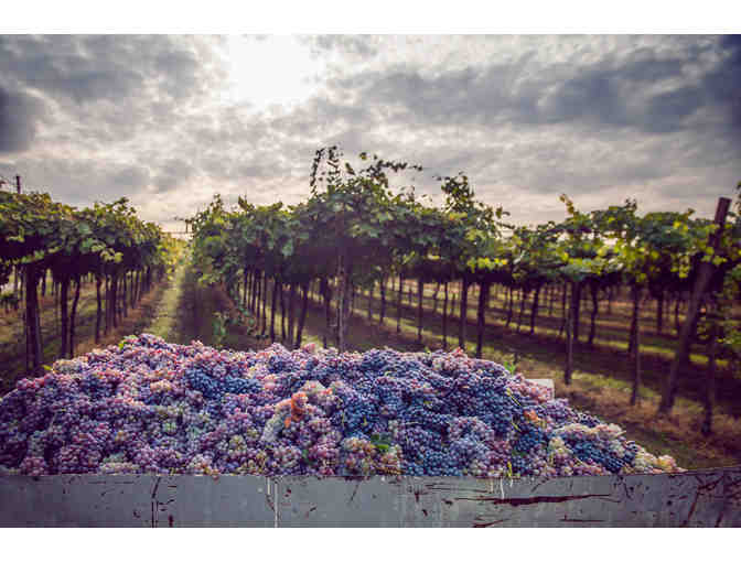 Sip & Soar Through Napa Valley - Includes Airfare for 2