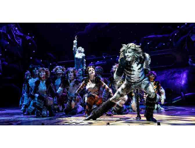 A Purrrfect Night at the Fox Theatre!