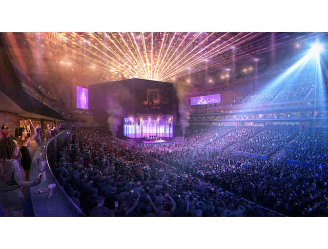 VIP Shawn Mendes Concert Experience