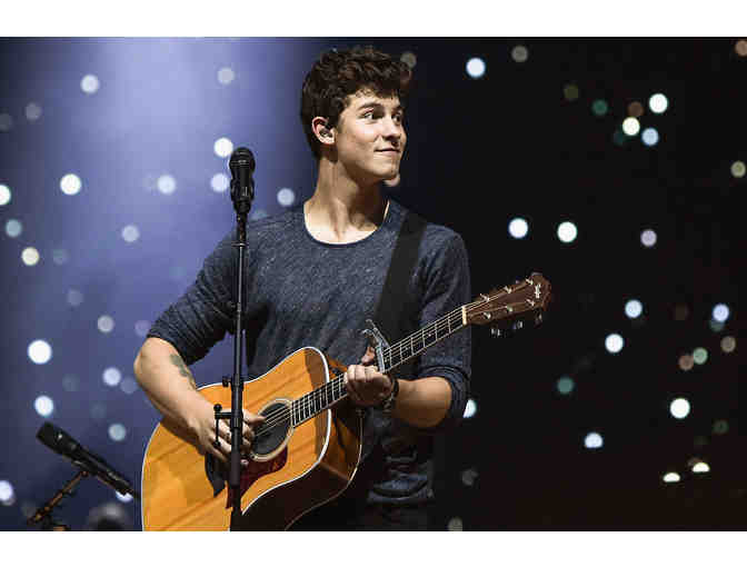 VIP Shawn Mendes Concert Experience