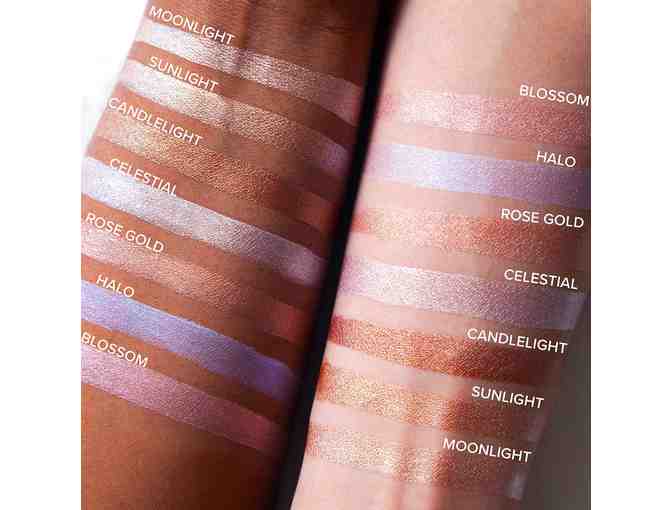 Cover FX - The Best Seller Collection