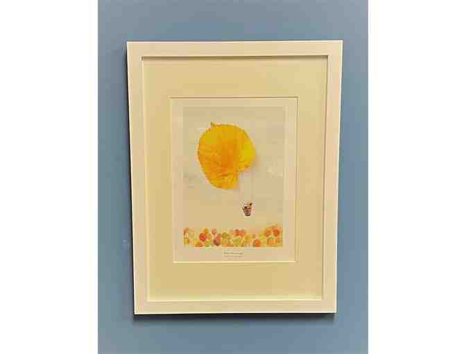 Books & Framed Print from Joseph-Beth Booksellers