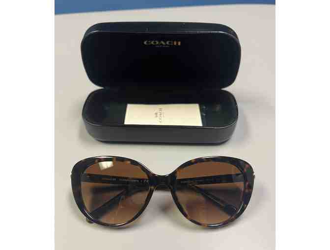 Designer Sunglasses (x2!) and Belt Bag