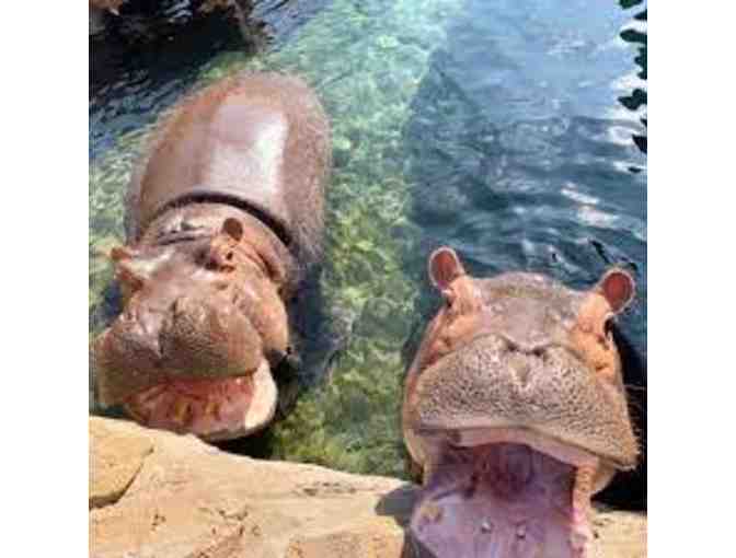 Bourbon Flights at the Zoo