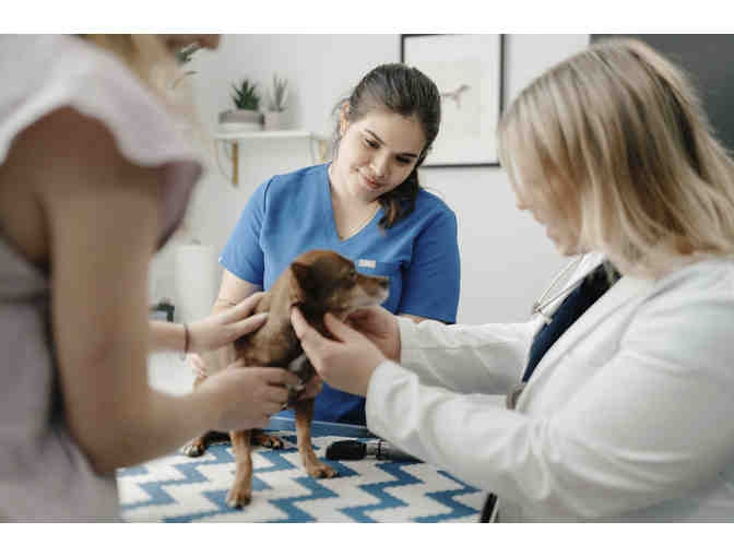 One Year Vet Membership for a Dog or Cat (West Village Location)