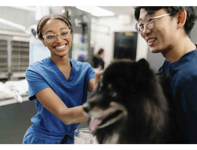 One Year Vet Membership for a Dog or Cat (West Village Location)