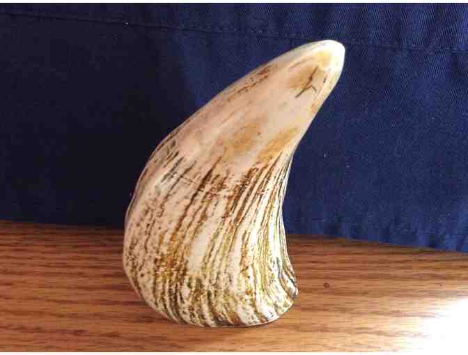 Whale Tooth - Scrimshaw