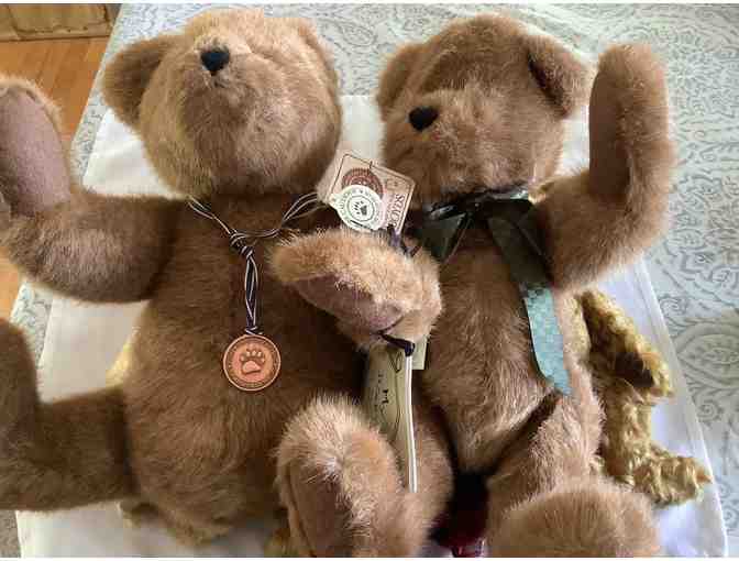 Seven Boyd&acirc;s Bears