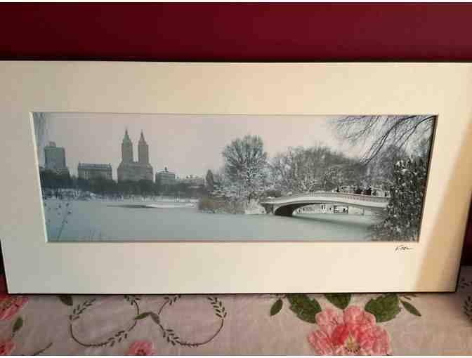 Train Photo - Central Park - Photo 1