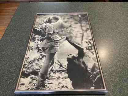 THINK DIFFERENT - APPLE