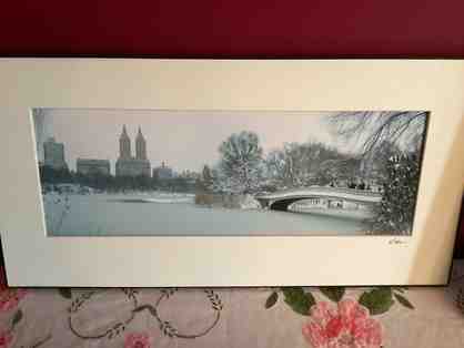 Train Photo - Central Park